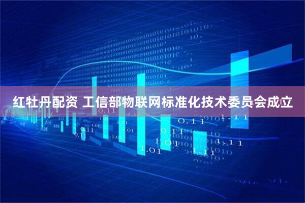 红牡丹配资 工信部物联网标准化技术委员会成立