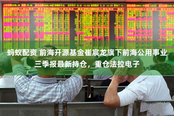 蚂蚁配资 前海开源基金崔宸龙旗下前海公用事业三季报最新持仓，重仓法拉电子